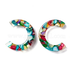 Cabochons en résine&nbsp;LS-RESI-C006-01B