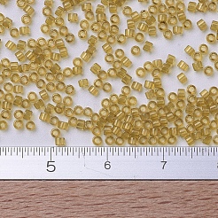 Miyuki Delica Perlen&nbsp;SEED-MY11-DB0118