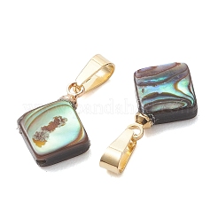 Abalone Muschel / Paua Muschel Anhänger&nbsp;PALLOY-JF05264