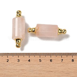 Breloques de connecteur de quartz rose naturel&nbsp;G-Z039-01G-03