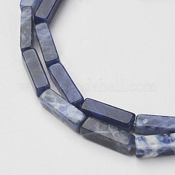 Natur Sodalith Perlen Stränge&nbsp;X-G-G968-D02