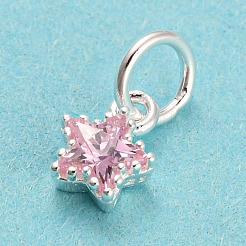 925 Sterling Silber Geburtsstein Charms&nbsp;LS-STER-G035-01C-04