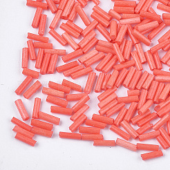 Perles de bugle en verre&nbsp;SEED-S029-01A-10