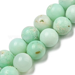 Natürliche Chrysopras-Perlenstränge der Güteklasse A, Runde, 10 mm, Bohrung: 0.8 mm, ca. 40 Stk. / Strang, 15.39~15.47'' (39.1~39.3 cm)