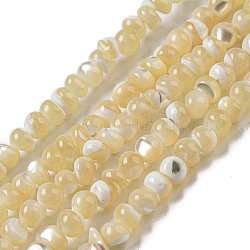 Fili di perline di conchiglia trochus naturale, tondo, verga d'oro pallido, 4~4.5x4mm, Foro: 0.5 mm, circa 91~93pcs/filo, 15.35~15.55'' (39~39.5 cm)