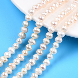 Hebras de perlas de agua dulce cultivadas naturales de grado ab, patata, color de concha, 6.5~7.5x5~6mm, agujero: 0.8 mm, aproximamente 54~55 pcs / cadena, 13.39 pulgada (34 cm)