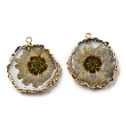 Inner Dried Flower Resin Pendants, Flat Round Charms with Light Gold Plated Brass Edge and Iron Loops, Tan, 34~36x30~31.5x4.5~5.5mm, Hole: 2mm
