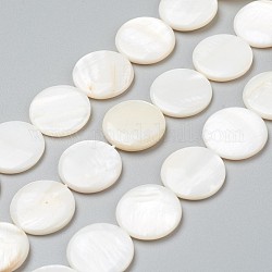 Shell perle naturali di acqua dolce, rotondo e piatto, 20x3.5~4.5mm, Foro: 0.5 mm, circa 20pcs/filo, 15.94 pollice (40.5 cm)