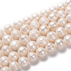Fili di perle di perle d'acqua dolce coltivate naturali, patata, bisque, 11.5~13x12~14mm, Foro: 0.6 mm, circa 30pcs/filo, 14.17 pollici (36 cm)