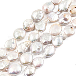 Chapelets de perles en Keshi naturel, perle de culture d'eau douce, plat rond, gainsboro, 11~12.5x4~7mm, Trou: 0.8mm, Environ 30~33 pcs/chapelet, 15.28 pouce ~ 15.67 pouces (38.8 cm ~ 39.8 cm)
