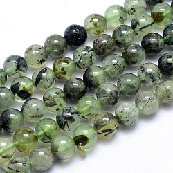 Natural Prehnite Beads Strands, Round, 8mm, Hole: 1mm, about 49pcs/strand, 15.5 inch(39.5cm)