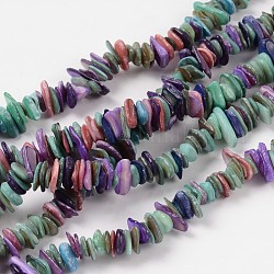 Shell Beads Strands, Chips, Dyed, Mixed Color, about 6~15mm, 1~5mm thick, hole: 1mm, about 190pcs/strand, 15 inch
