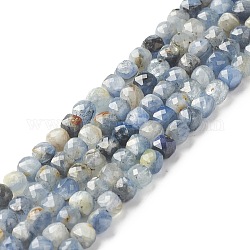 Natürliche kyanite Perlen Stränge, facettiert, Würfel, 4x4x4 mm, Bohrung: 0.7 mm, ca. 88 Stk. / Strang, 14.96 Zoll (38 cm)