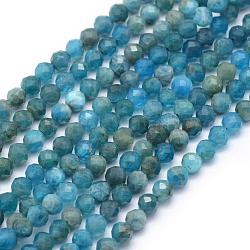 Chapelets de perles en apatite naturelle, facette, ronde, 2mm, Trou: 0.5mm, Environ 150 pcs/chapelet, 15.35 pouce (39 cm)