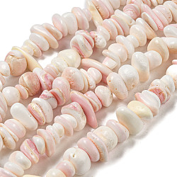 Brins de perles de coquillage naturel, pépites, rose brumeuse, 4~10x9.5~16x7~10mm, Trou: 0.8mm, Environ 88~90 pcs/chapelet, 14.96~15.35'' (38~39 cm)
