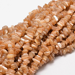 Sunstone naturelle perles de puce brins, 5~14x4~10mm, Trou: 1mm, environ 15.5 pouce ~ 16.1 pouces