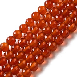 Filo di perline di agata naturale, tinto, tondo, rosso, 6mm, Foro: 1 mm, circa 65pcs/filo, 15.5 pollice