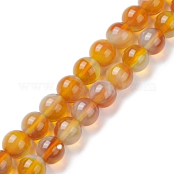 Hilos de abalorios de murano hechos a mano, redondo, naranja, 10mm, agujero: 1.2 mm, aproximamente 38 pcs / cadena, 14.17'' (36 cm)