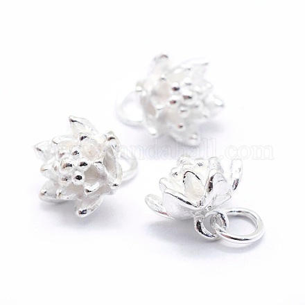 Sterling Silver Charms STER-I016-062S-1
