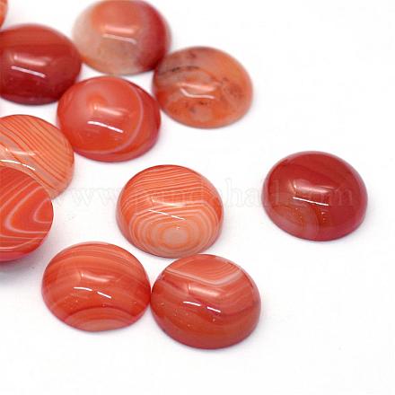 Dyed Natural Striped Agate/Banded Agate Cabochons G-R348-16mm-03-1