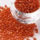 8/0 Glass Seed Beads SEED-A005-3mm-29B-1