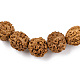 Bracelet extensible en perles de rudraksha naturelles BJEW-N029-001-2