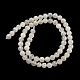 Natürlichen weißen Mondstein Perlen Stränge G-F306-05AB-6mm-01-3