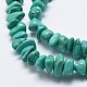 Natural Magnesite Beads Strands TURQ-F008-01-3