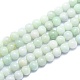 Natural Myanmar Jade/Burmese Jade Beads Strands G-K310-C05-8mm-1