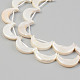 Electroplate Natural Freshwater Shell Beads Strands SHEL-T017-16D-3