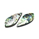 Cabochon di conchiglia abalone naturale / paua shell SHEL-K008-03-3