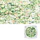 ネイルアート用品グリッタースパンコール  マニキュア装飾  キラキラネイルスパンコール  薄緑 AJEW-Q033-003B-1