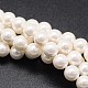Chapelets de perles de coquille X-BSHE-E008-6mm-12-1