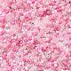 Opaque & Transparent Inside Colours Glass Seed Beads SEED-F004-01A-3