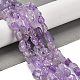 Natürlichen Amethyst Perlen Stränge&nbsp;G-P497-01E-21-2