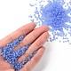 8/0 Glass Seed Beads SEED-US0003-3mm-M6-4