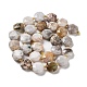 Chapelets de perles en agate fou naturel G-NH0004-032-3