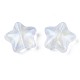 Perles en acrylique transparente OACR-N008-096-4