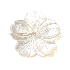 Cuentas de concha natural de blanco, flor, whitesmoke, 31x31x3mm, agujero: 0.5 mm