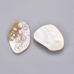 Muschel perlen&nbsp;BSHE-F006-06