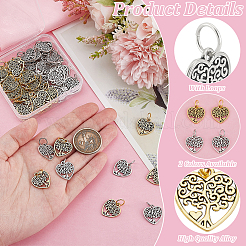 60 pièces 2 couleurs pendentifs en alliage de style tibétain&nbsp;FIND-PH0024-05