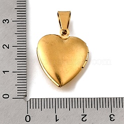 Pendentifs médaillons en acier inoxydable 316&nbsp;STAS-C123-02C-G