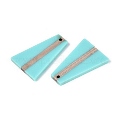 Colgantes de resina opaca y madera&nbsp;RESI-T057-51A