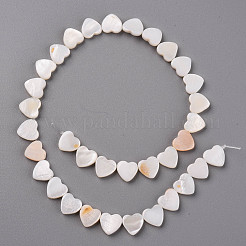 Eau douce naturelle de coquillage perles brins&nbsp;X-SHEL-R144-25