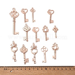 Aluminium Anhänger & Charms&nbsp;FIND-D040-01RG