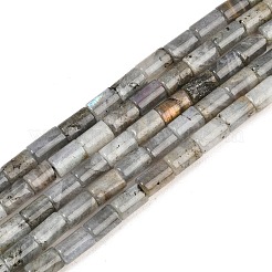Natur Labradorit Perlen Stränge&nbsp;G-F832-B10-01