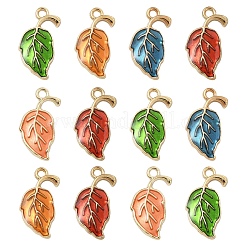 30pcs 5 pendentifs en alliage de couleurs&nbsp;ENAM-YW0006-05