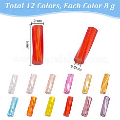 12 Farben Glas Twist Stiftperlen&nbsp;SEED-PH0002-17B