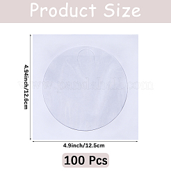 100 quadratische Papier-Aufbewahrungsbeutel für CDs&nbsp;ABAG-CP0001-16