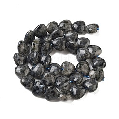 Natürliche Larvikit-Perlenstränge&nbsp;G-B022-28C